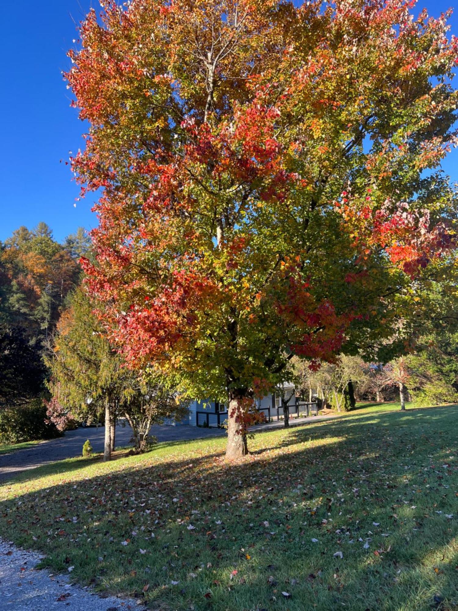 Firefly Fields 2-acres With Guest House, Game Room, Mountain & River Views